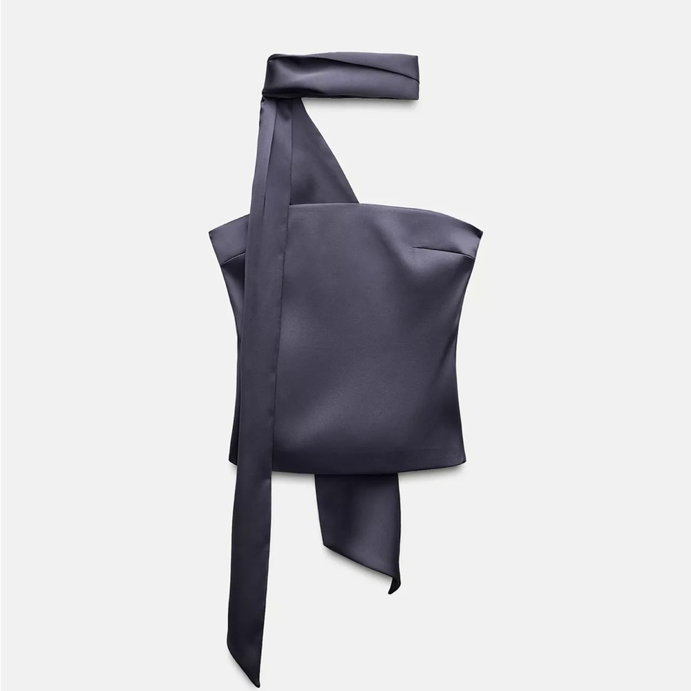 Zara Elegant Gray Satin Top + Garment
